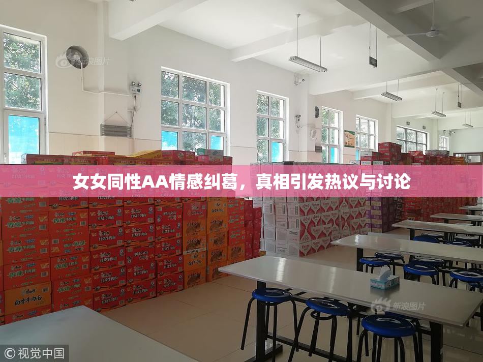 女女同性AA情感纠葛，真相引发热议与讨论