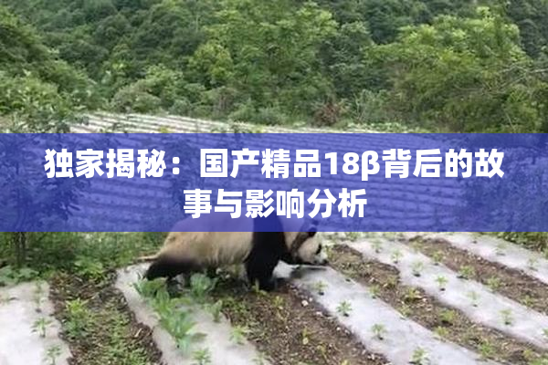 独家揭秘：国产精品18β背后的故事与影响分析