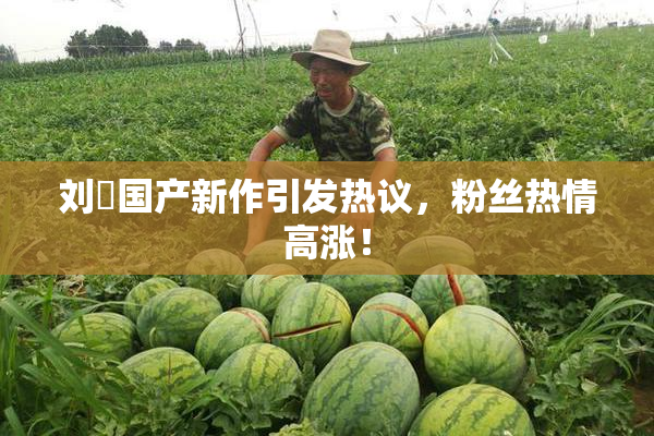 刘玥国产新作引发热议，粉丝热情高涨！