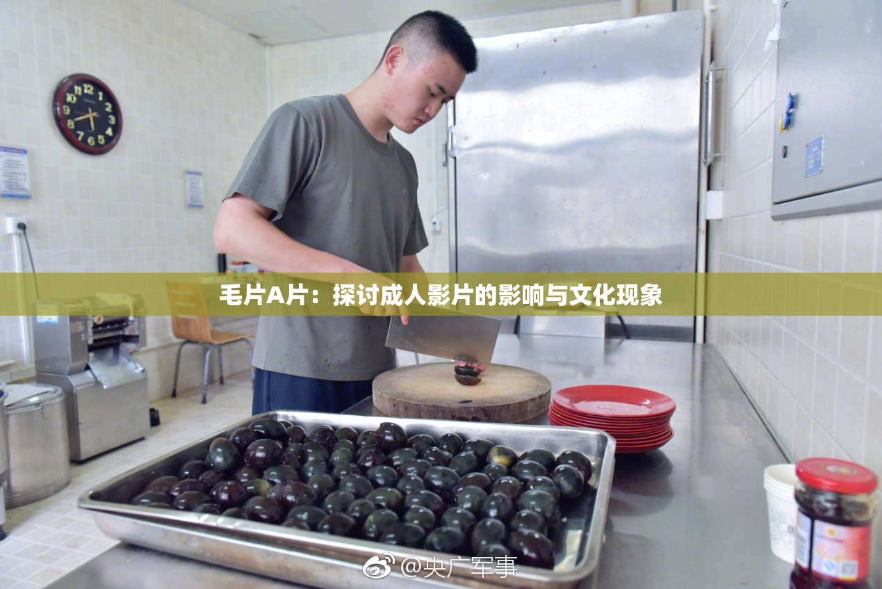 毛片A片：探讨成人影片的影响与文化现象