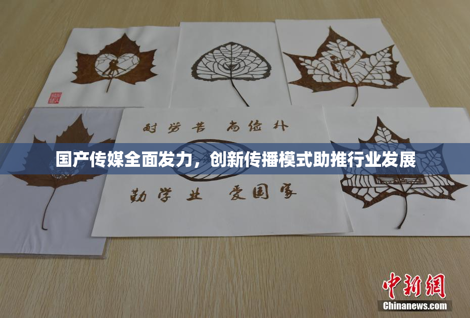 国产传媒全面发力，创新传播模式助推行业发展