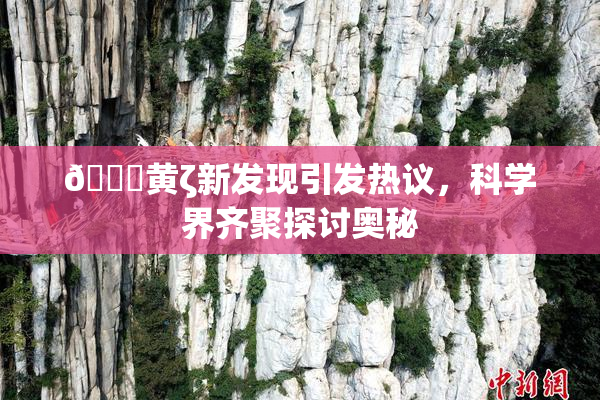 🔞黄ζ新发现引发热议，科学界齐聚探讨奥秘