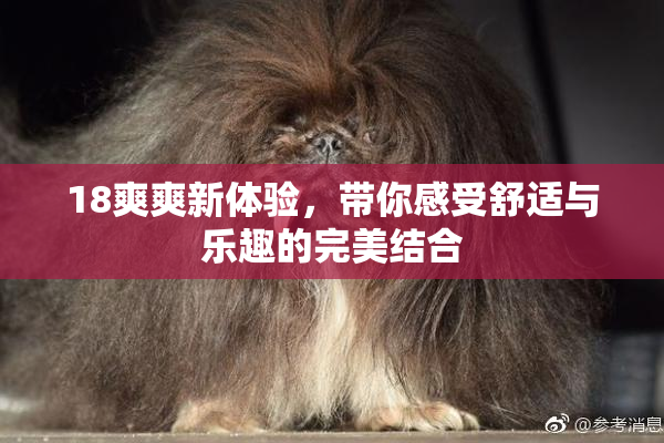 18爽爽新体验，带你感受舒适与乐趣的完美结合