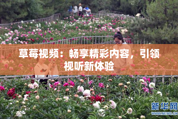 草莓视频：畅享精彩内容，引领视听新体验