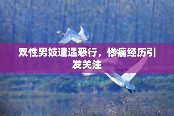双性男妓遭遇恶行，惨痛经历引发关注