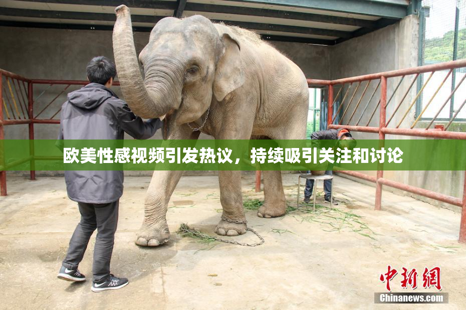欧美性感视频引发热议，持续吸引关注和讨论