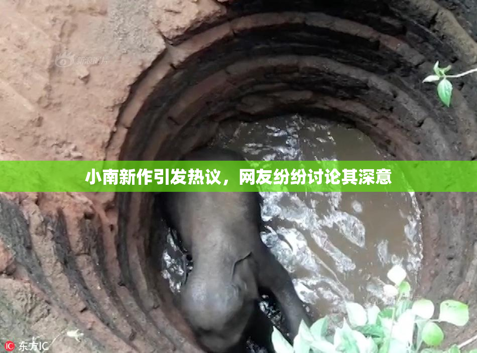 小南新作引发热议，网友纷纷讨论其深意