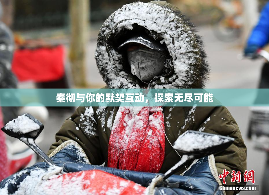 秦彻与你的默契互动，探索无尽可能