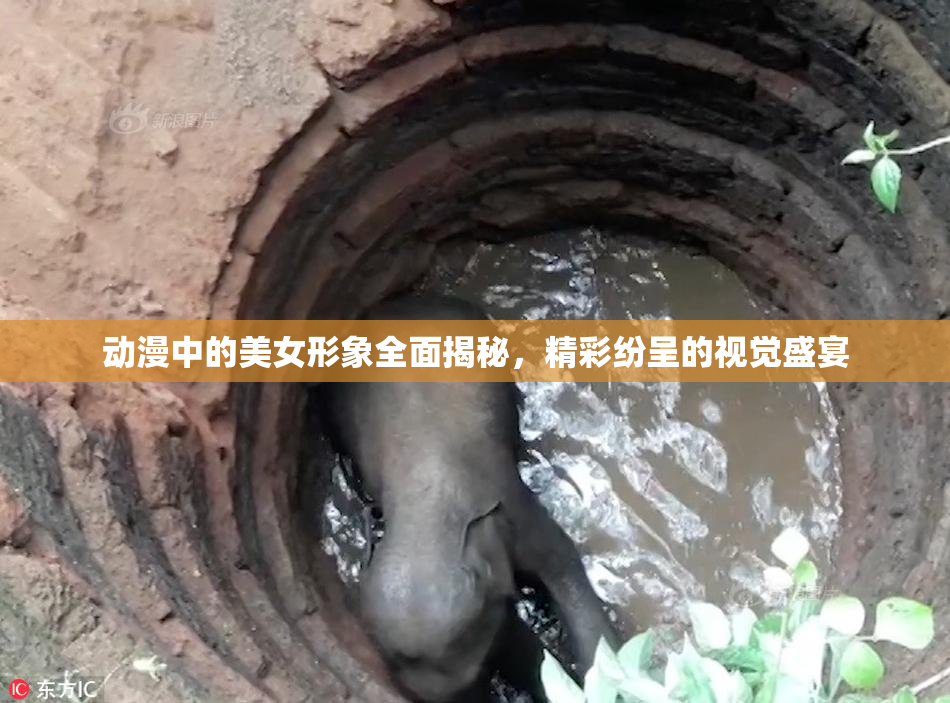 动漫中的美女形象全面揭秘，精彩纷呈的视觉盛宴