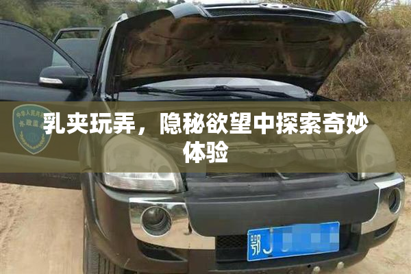 乳夹玩弄，隐秘欲望中探索奇妙体验