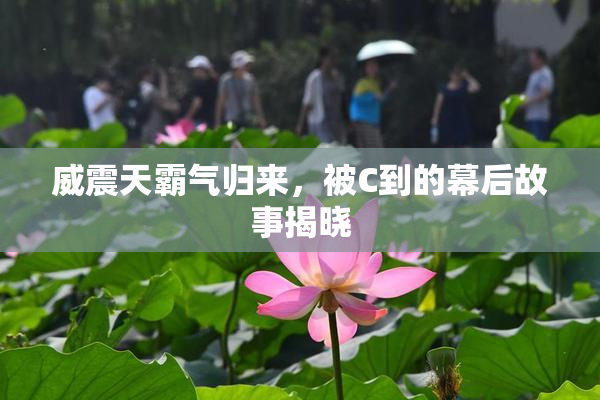 威震天霸气归来，被C到的幕后故事揭晓
