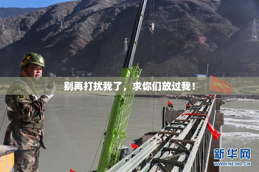 别再打扰我了，求你们放过我！