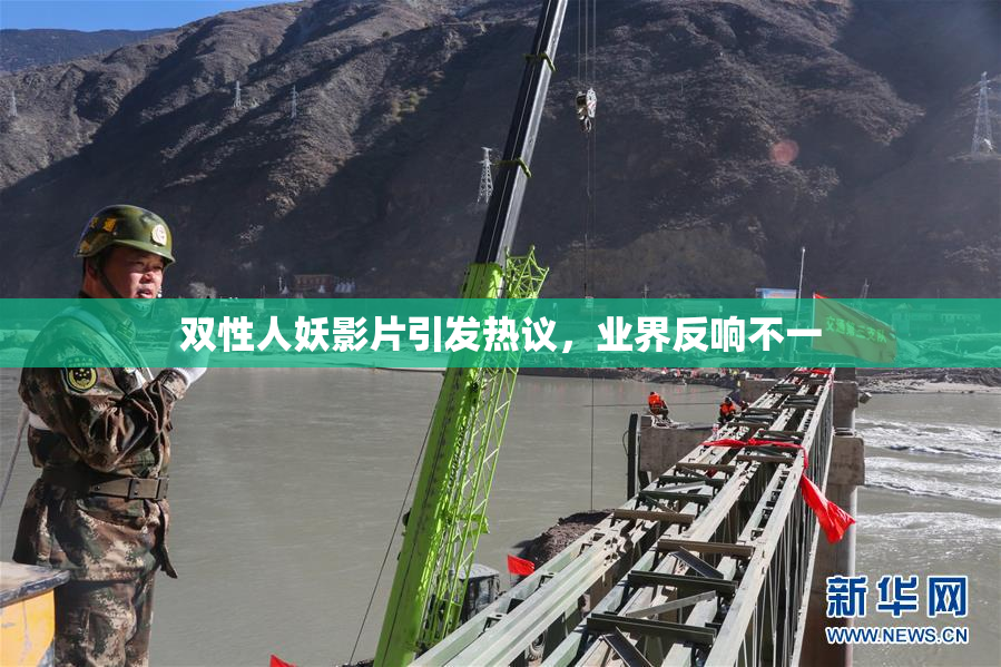 双性人妖影片引发热议，业界反响不一
