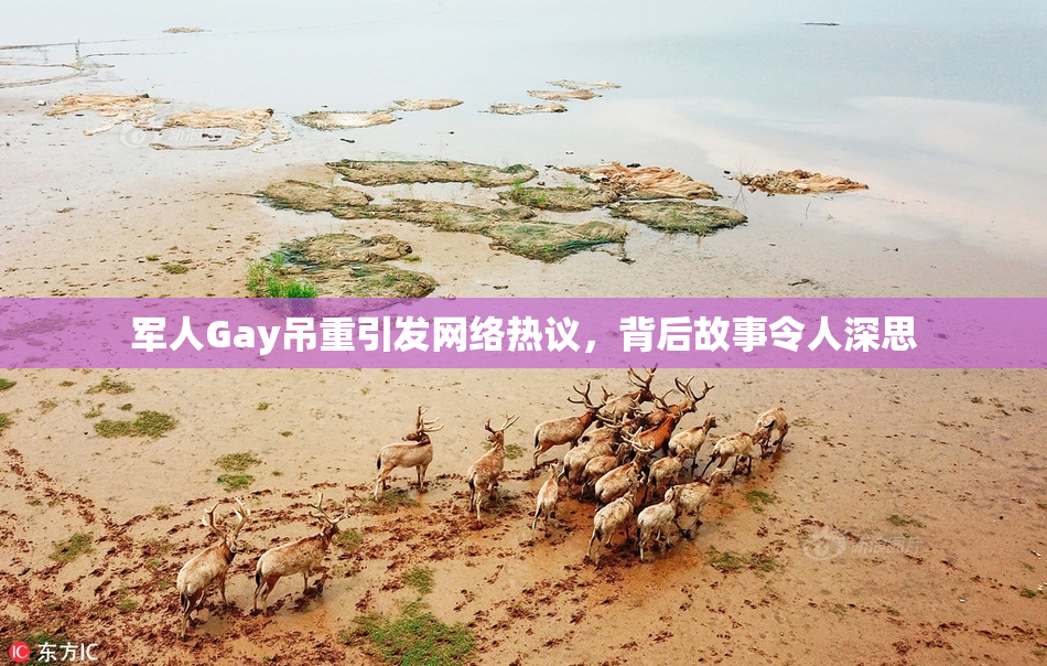 军人Gay吊重引发网络热议，背后故事令人深思