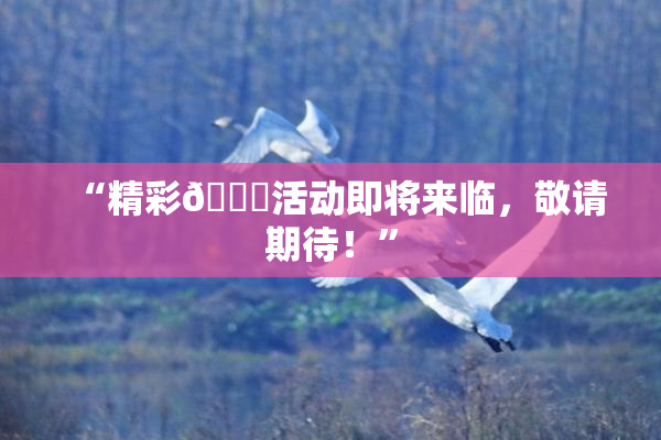 “精彩🈚活动即将来临，敬请期待！”