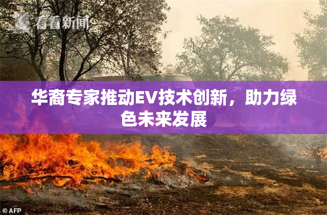 华裔专家推动EV技术创新，助力绿色未来发展