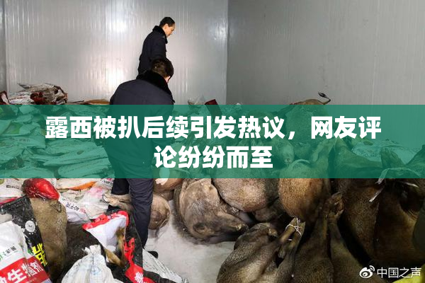 露西被扒后续引发热议，网友评论纷纷而至
