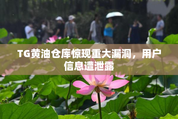 TG黄油仓库惊现重大漏洞，用户信息遭泄露