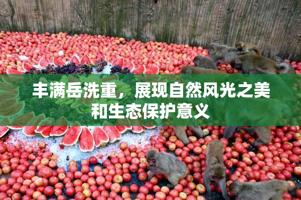 丰满岳洗重，展现自然风光之美和生态保护意义