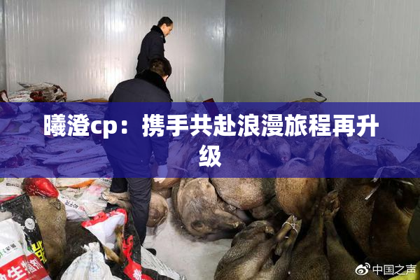 曦澄cp：携手共赴浪漫旅程再升级