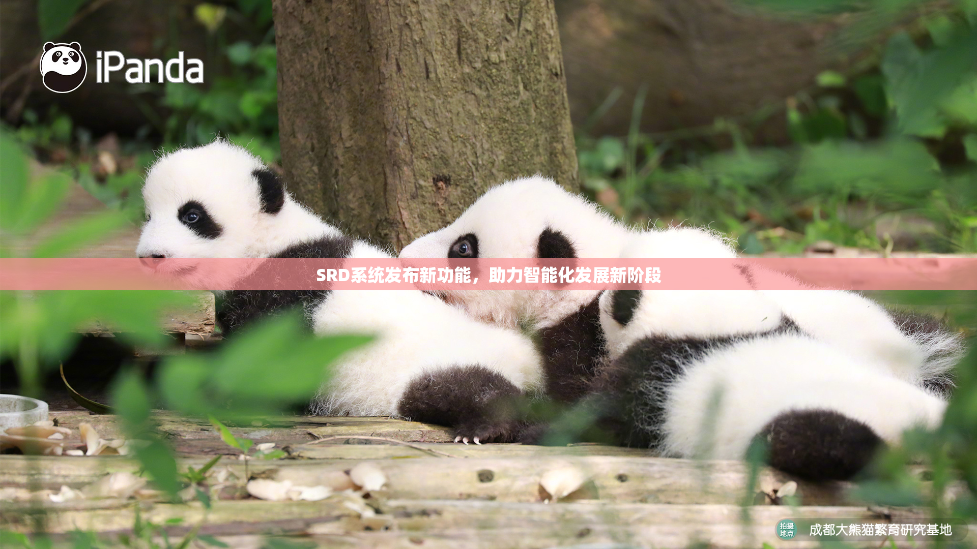 SRD系统发布新功能，助力智能化发展新阶段