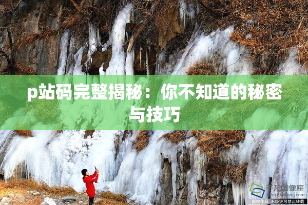 p站码完整揭秘：你不知道的秘密与技巧