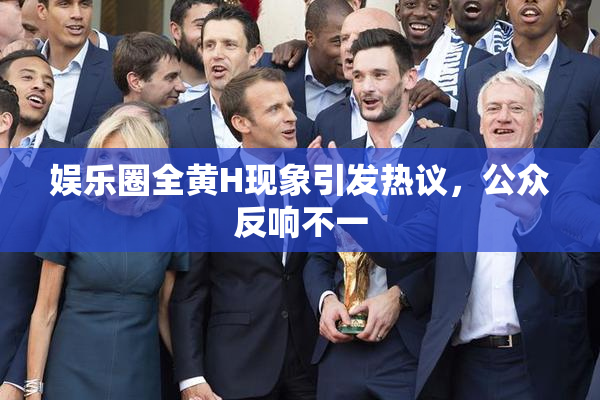 娱乐圈全黄H现象引发热议，公众反响不一
