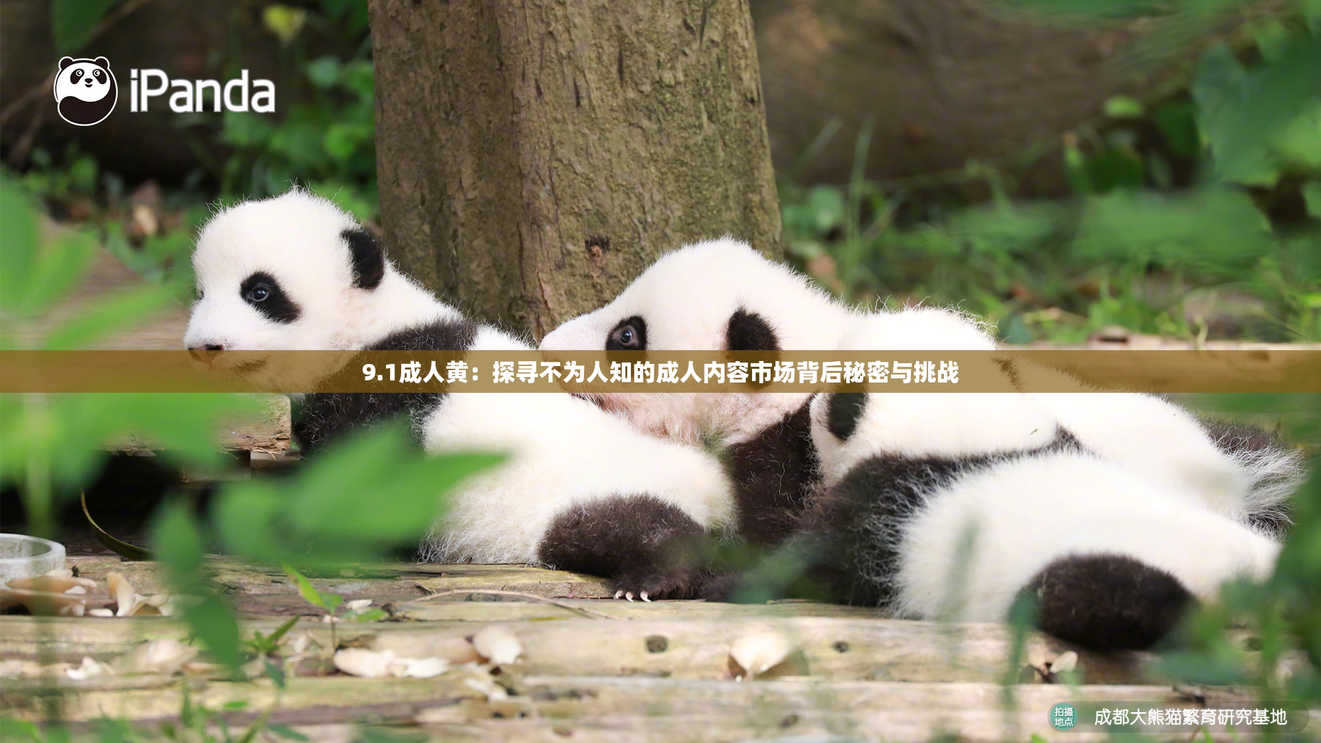 9.1成人黄：探寻不为人知的成人内容市场背后秘密与挑战