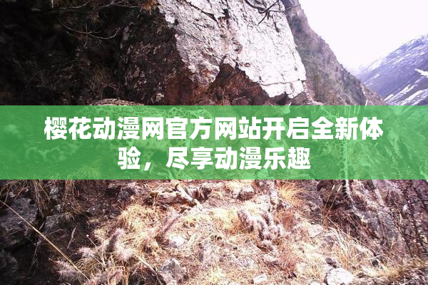樱花动漫网官方网站开启全新体验，尽享动漫乐趣