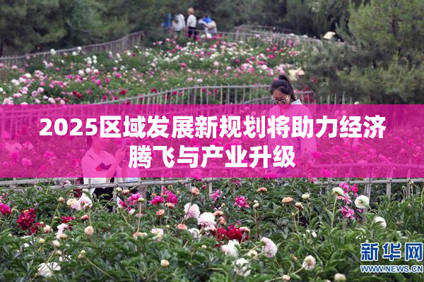 2025区域发展新规划将助力经济腾飞与产业升级