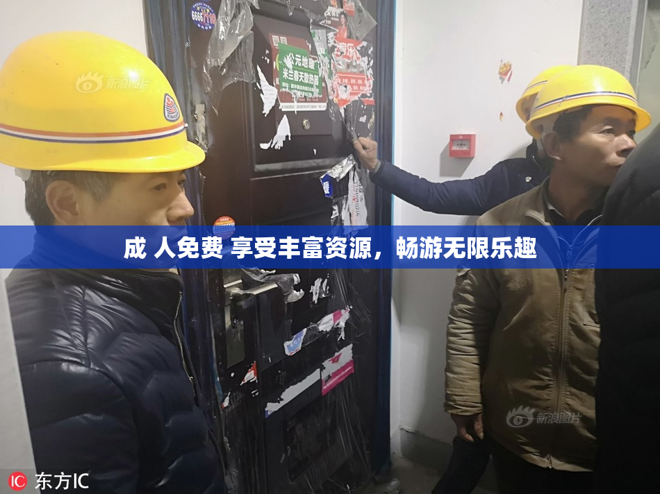 成 人免费 享受丰富资源，畅游无限乐趣