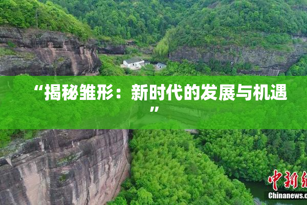 “揭秘雏形：新时代的发展与机遇”