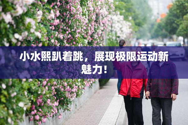 小水熙趴着跳，展现极限运动新魅力！