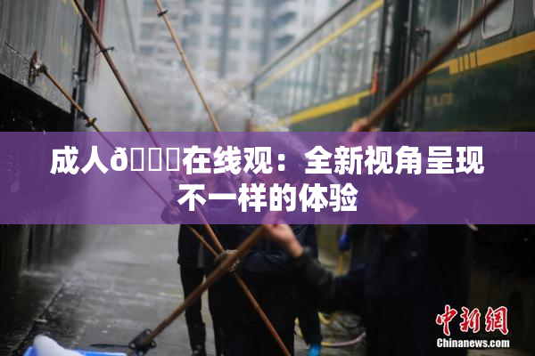 成人🔞在线观：全新视角呈现不一样的体验