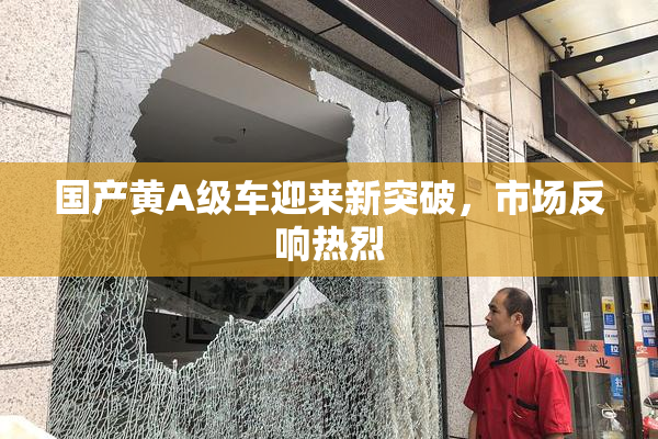国产黄A级车迎来新突破，市场反响热烈