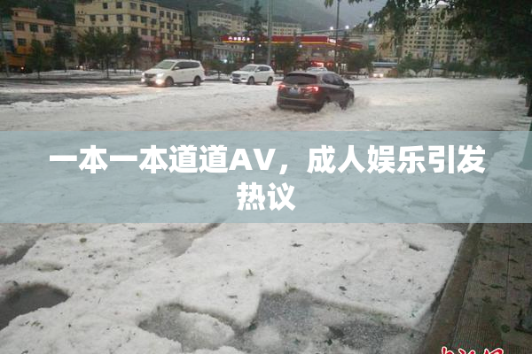 一本一本道道AV，成人娱乐引发热议