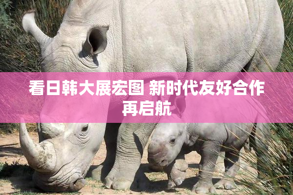 看日韩大展宏图 新时代友好合作再启航