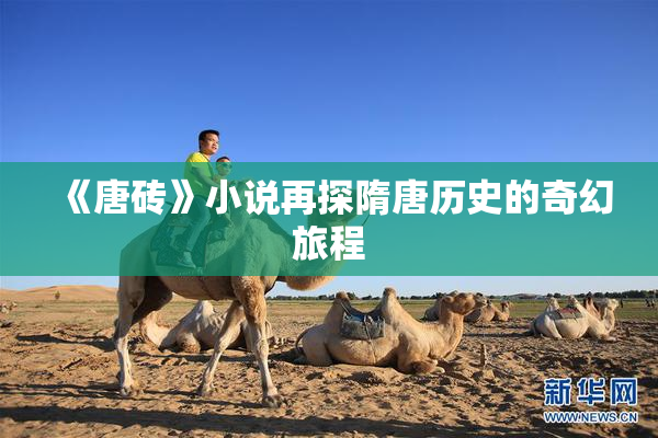 《唐砖》小说再探隋唐历史的奇幻旅程