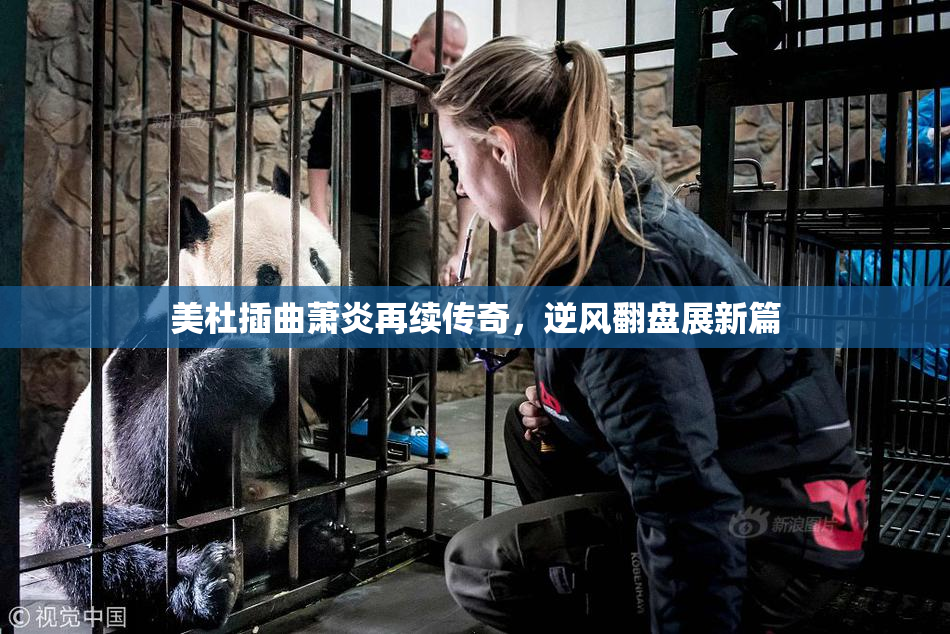 美杜插曲萧炎再续传奇，逆风翻盘展新篇