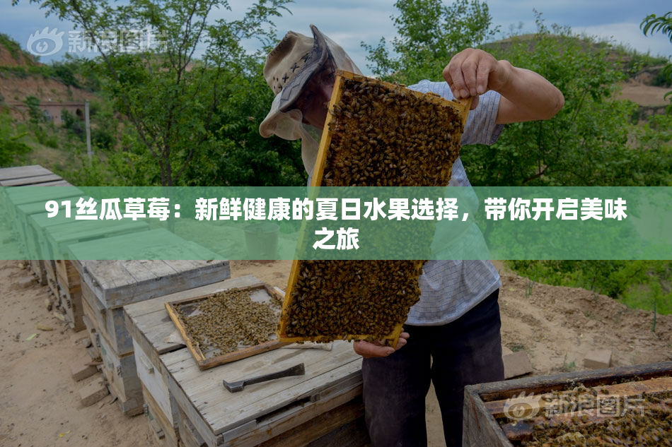 91丝瓜草莓：新鲜健康的夏日水果选择，带你开启美味之旅