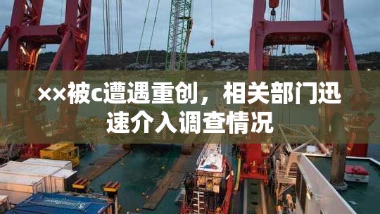 ××被c遭遇重创，相关部门迅速介入调查情况