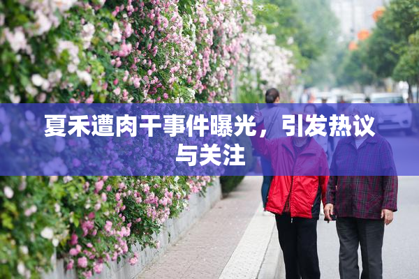 夏禾遭肉干事件曝光，引发热议与关注