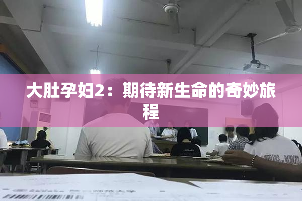 大肚孕妇2：期待新生命的奇妙旅程