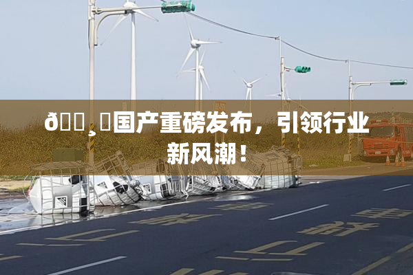 🌸‌国产重磅发布，引领行业新风潮！