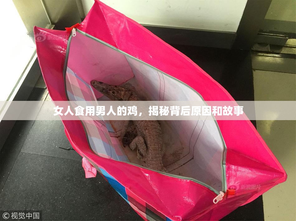 女人食用男人的鸡，揭秘背后原因和故事