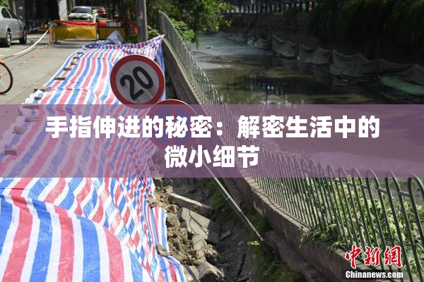 手指伸进的秘密：解密生活中的微小细节