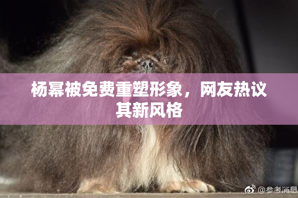 杨幂被免费重塑形象，网友热议其新风格