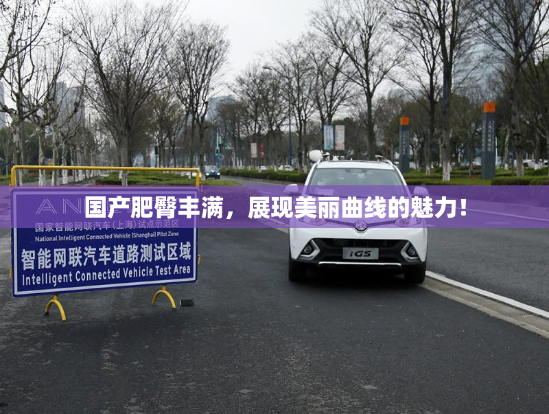 国产肥臀丰满，展现美丽曲线的魅力！