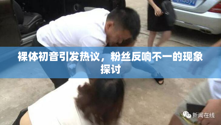 裸体初音引发热议，粉丝反响不一的现象探讨