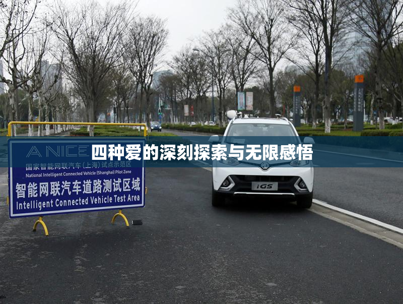 四种爱的深刻探索与无限感悟